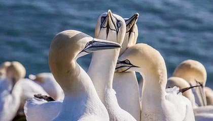 九游下载官网-大牌阵容未能发挥应有水平