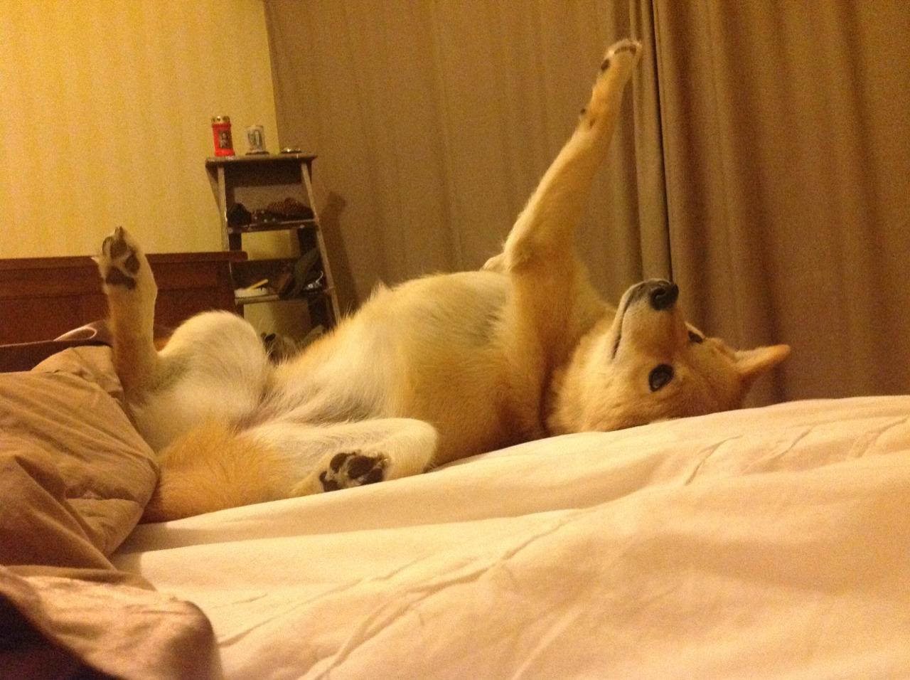 _掘金攻守兼备，联赛排名持续攀升_，掘金的比赛