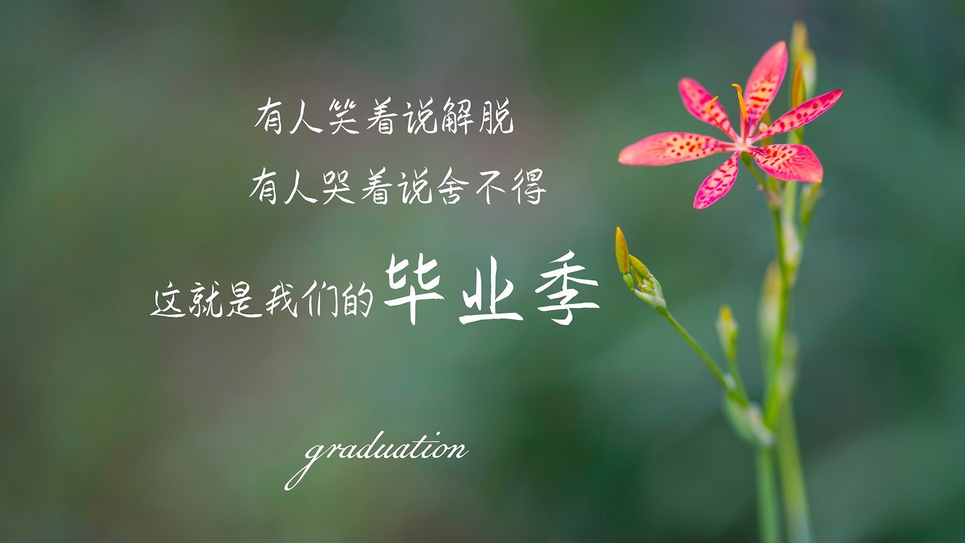 _未来运动鞋展:科技雕琢运动新未来_,未来的运动鞋400字作文