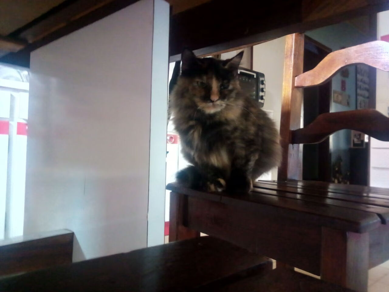 _运动员的秘密武器:战术、装备和心理调节_,运动员的pb