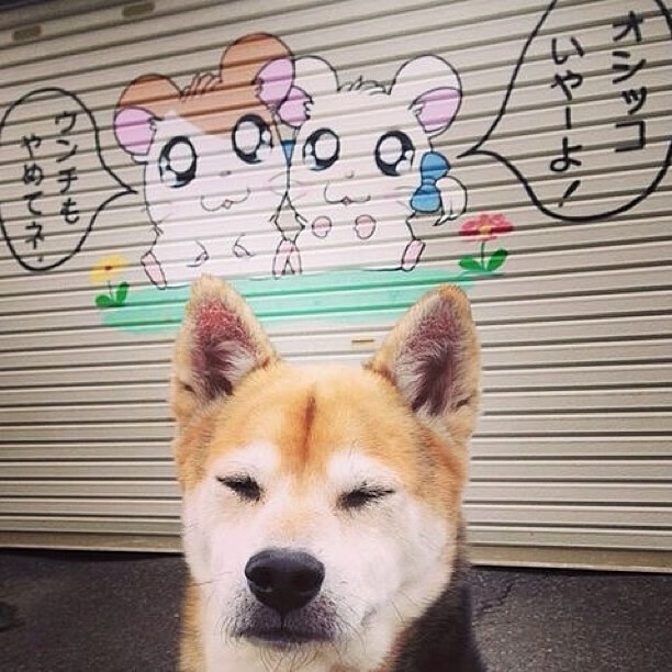 -“足球+健康”理念在全国基层广泛传播，运动全民化深入人心，足球运动在全民健身中的意义