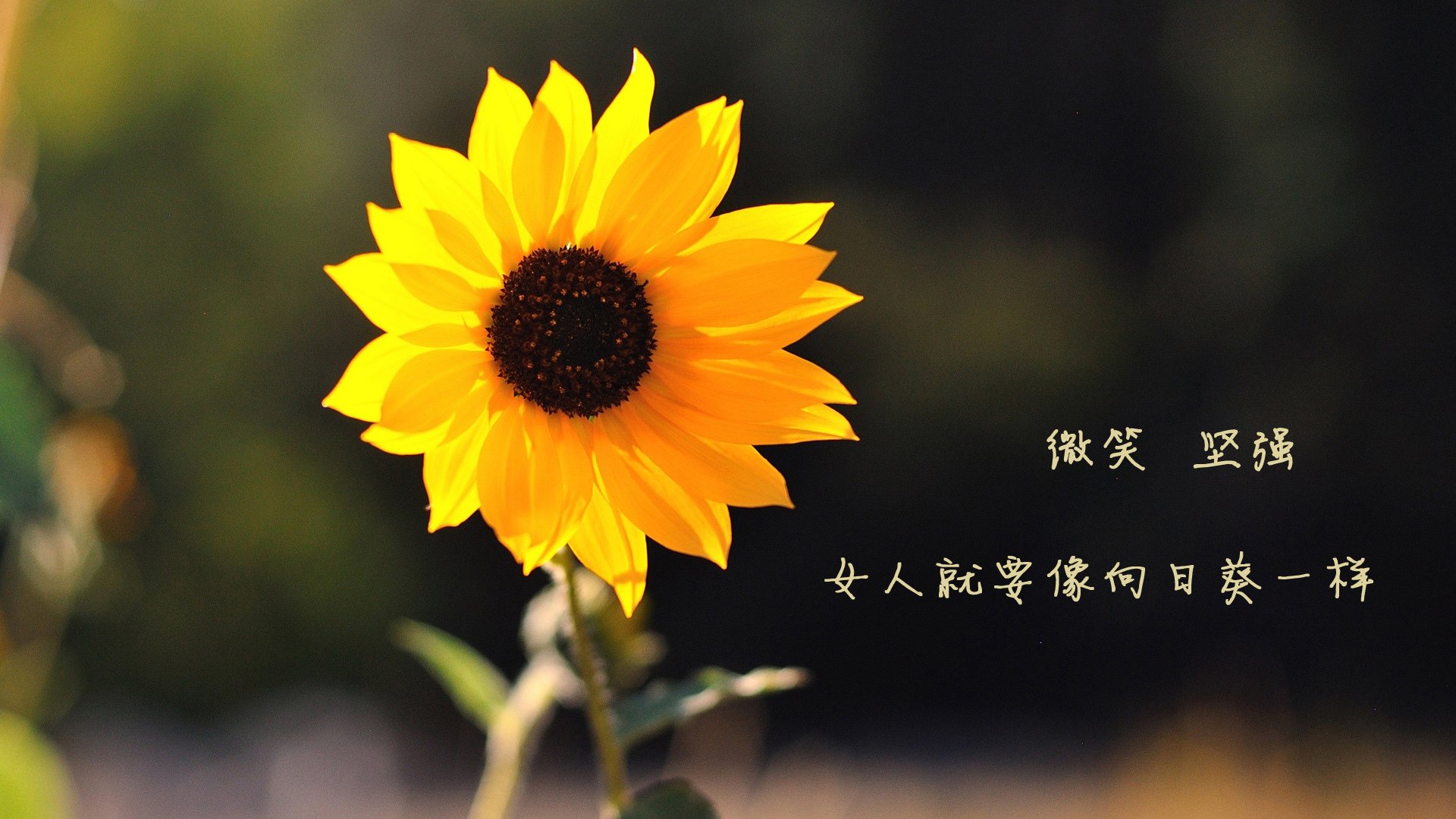 世界水上漂流争霸赛,水流激荡中的极速快感,水上漂流怎么玩