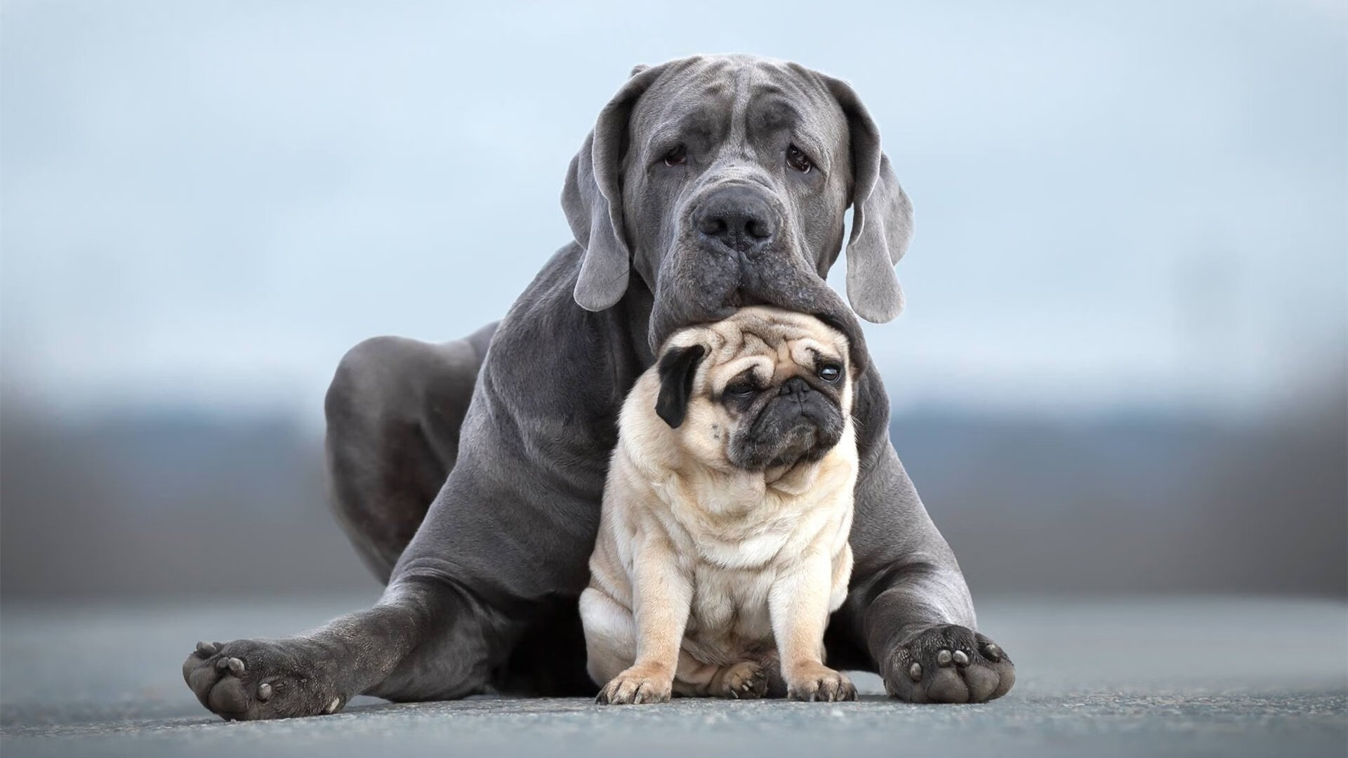 -全国青少年“科技创新”篮球体验展在上海精彩亮相，推动科技与体育融合