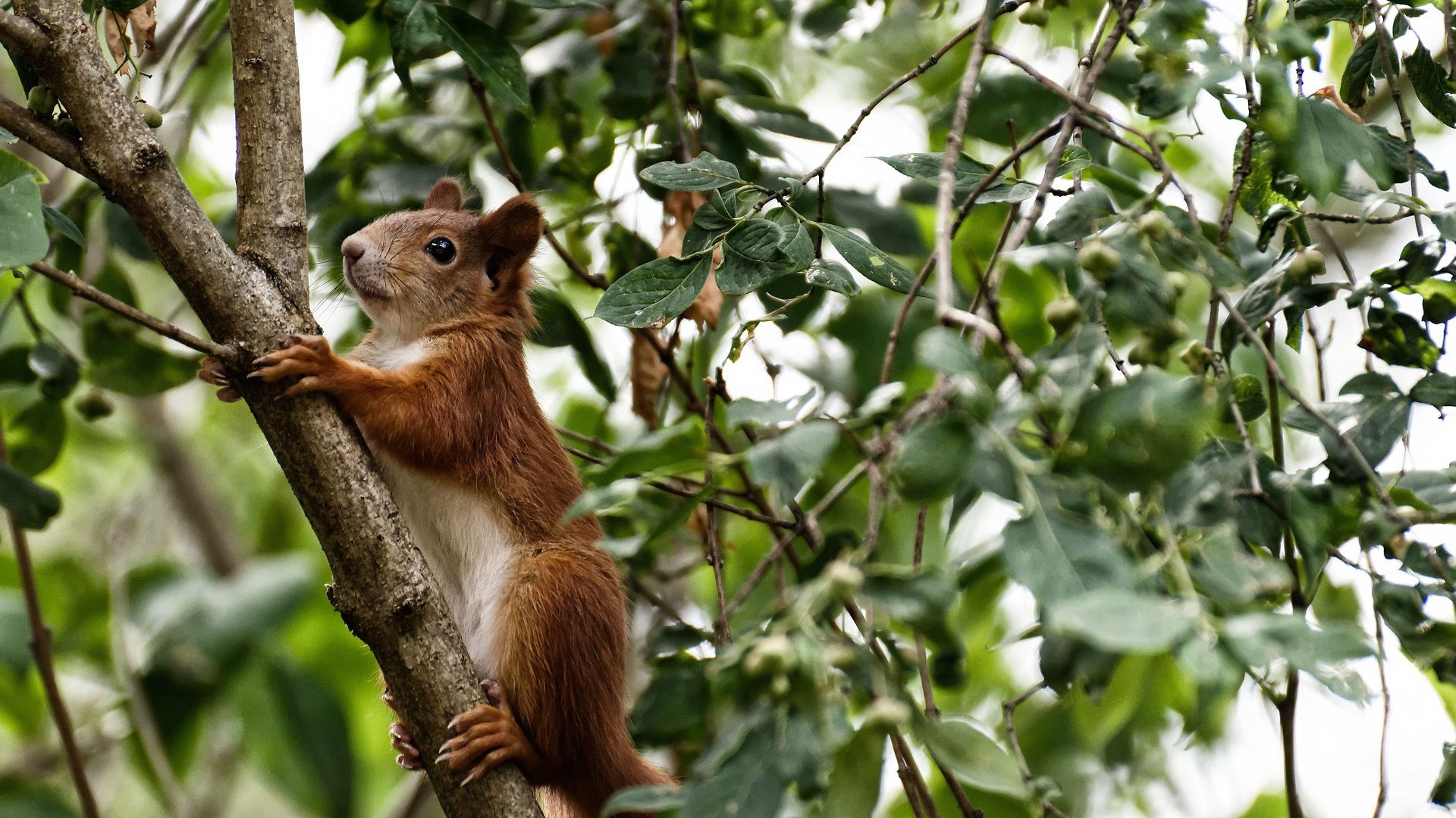 湖人联手图书馆推广“阅读与运动”双成长计划，nba图书馆