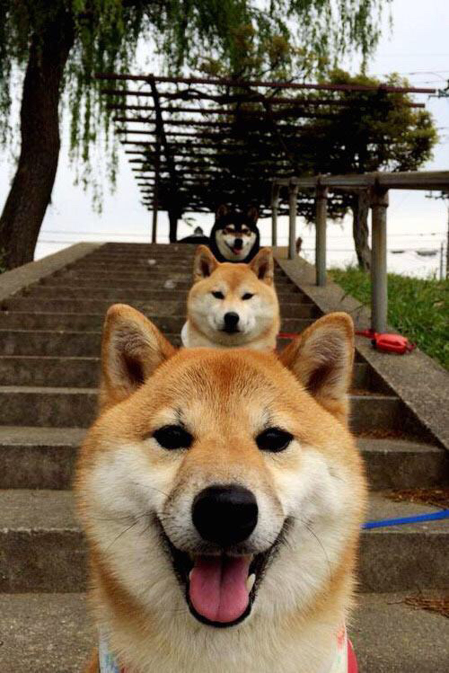 湖人联手图书馆推广“阅读与运动”双成长计划，nba图书馆