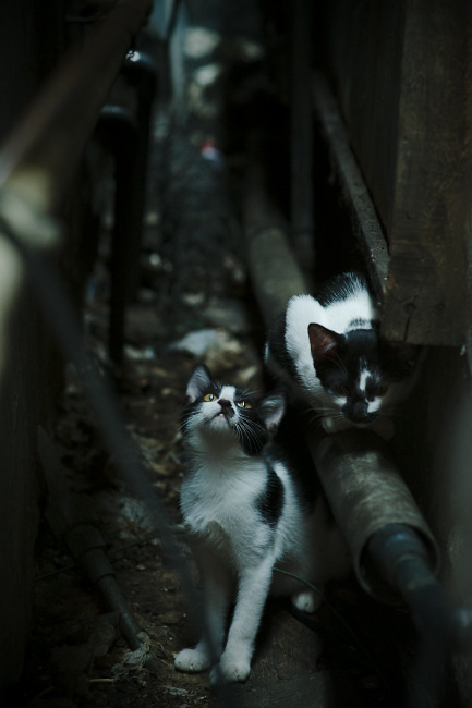 九游官网主页-英格兰球员场上起冲突，主帅紧急平息，英格兰球员状态