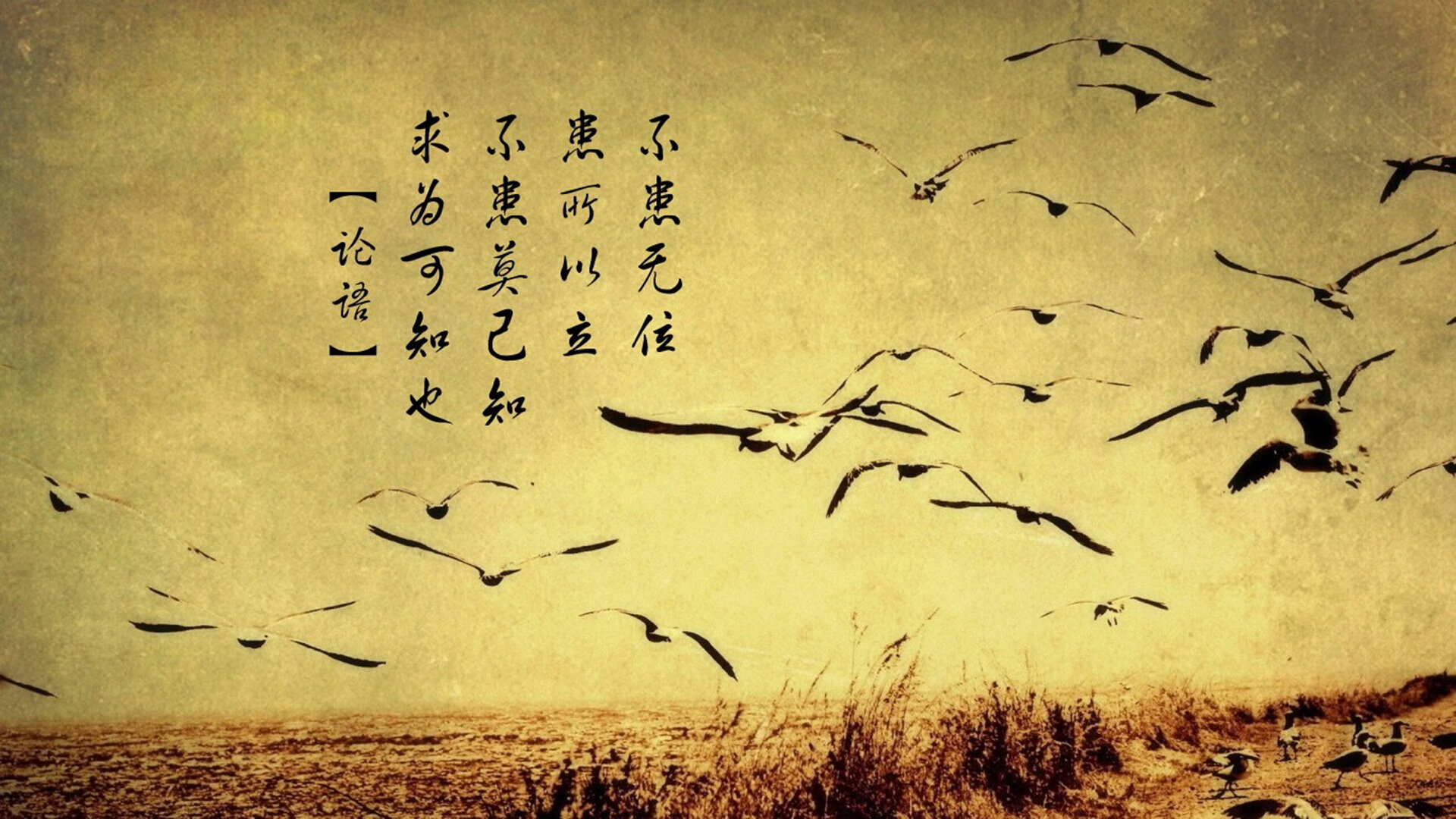 九游网页版官网入口-伯恩茅斯主场收获三分，继续保持主场不败，球队稳固表现，伯恩茅斯ds