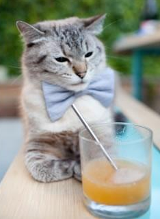 九游-冰岛遭遇保加利亚绝平，晋级希望受挫，保加利亚妖王冰女王