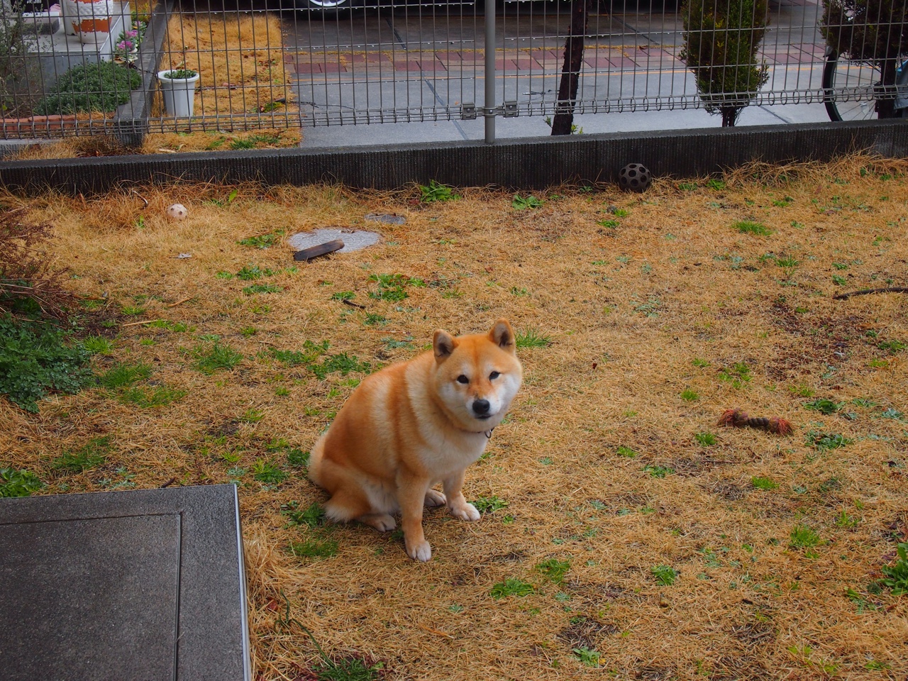 同曦队防守反击能力增强,同曦队教练组都有谁