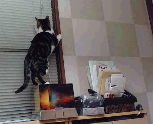 摩纳哥争夺冲刺,晋级梦想仍在眼前,摩纳哥_