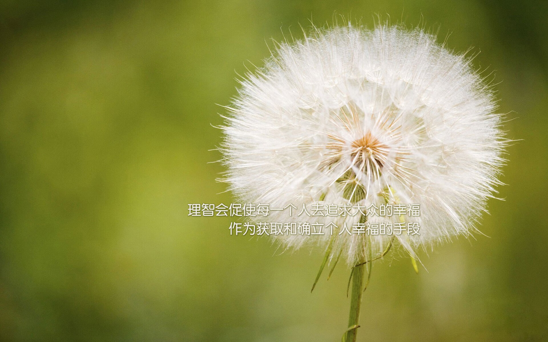 贝尔格莱德红星季后赛冲击力十足,贝尔格莱德红星108分