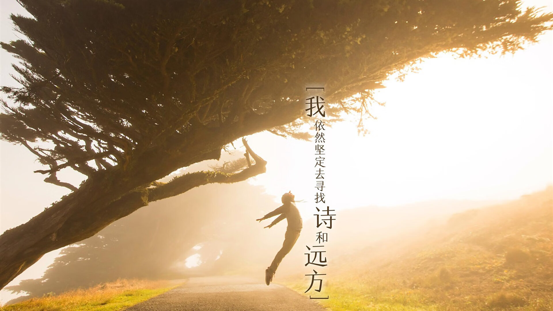 青训成绩是否该纳入俱乐部综合评分系统，青训梯队