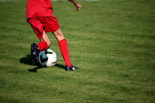 九游游戏中心官网-篮球运动员心理韧性培养与干预体系，篮球运动员的心理选材