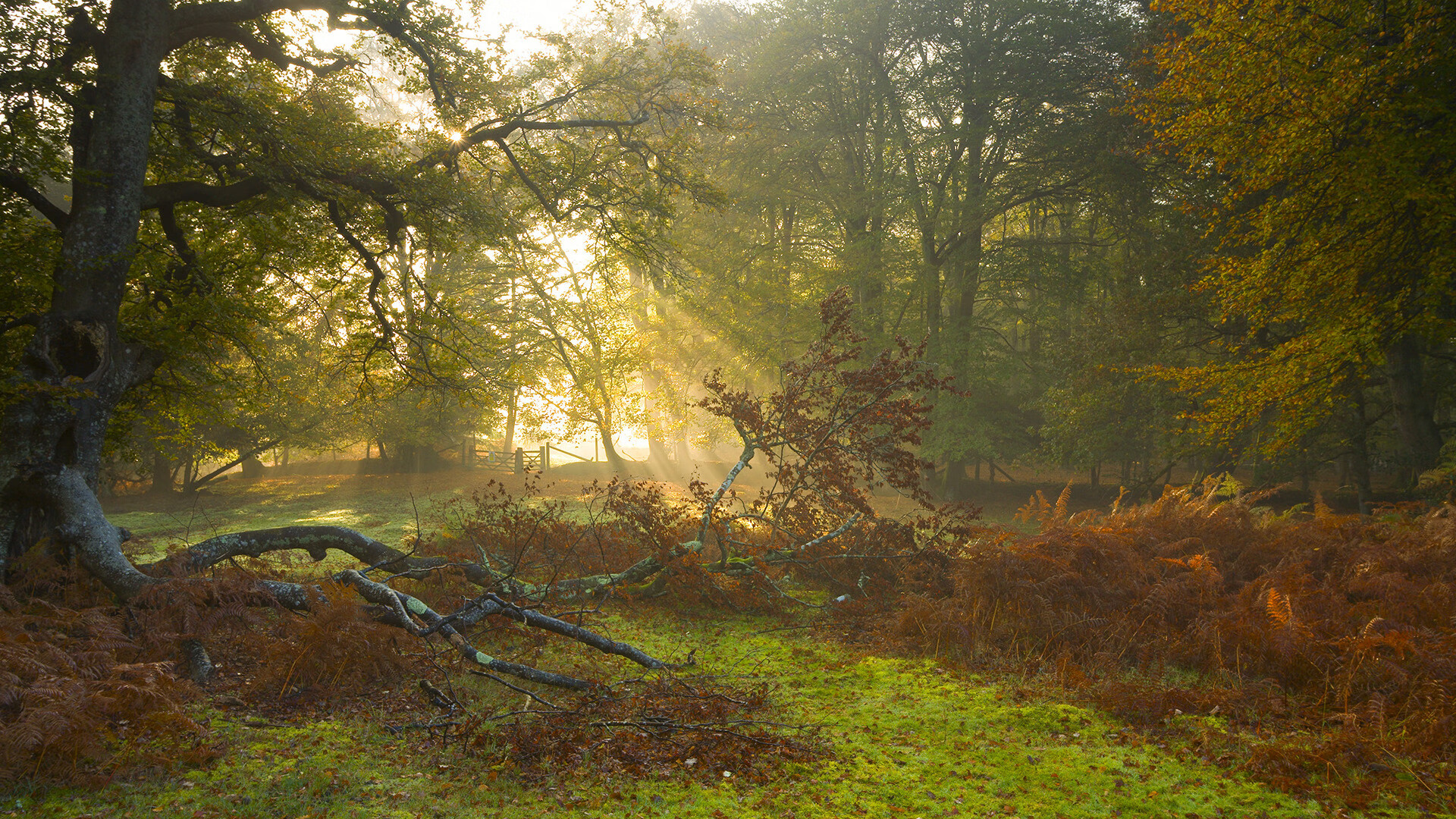 西甲球队基于比赛热度趋势分析优化后场控球时机，西甲 球队
