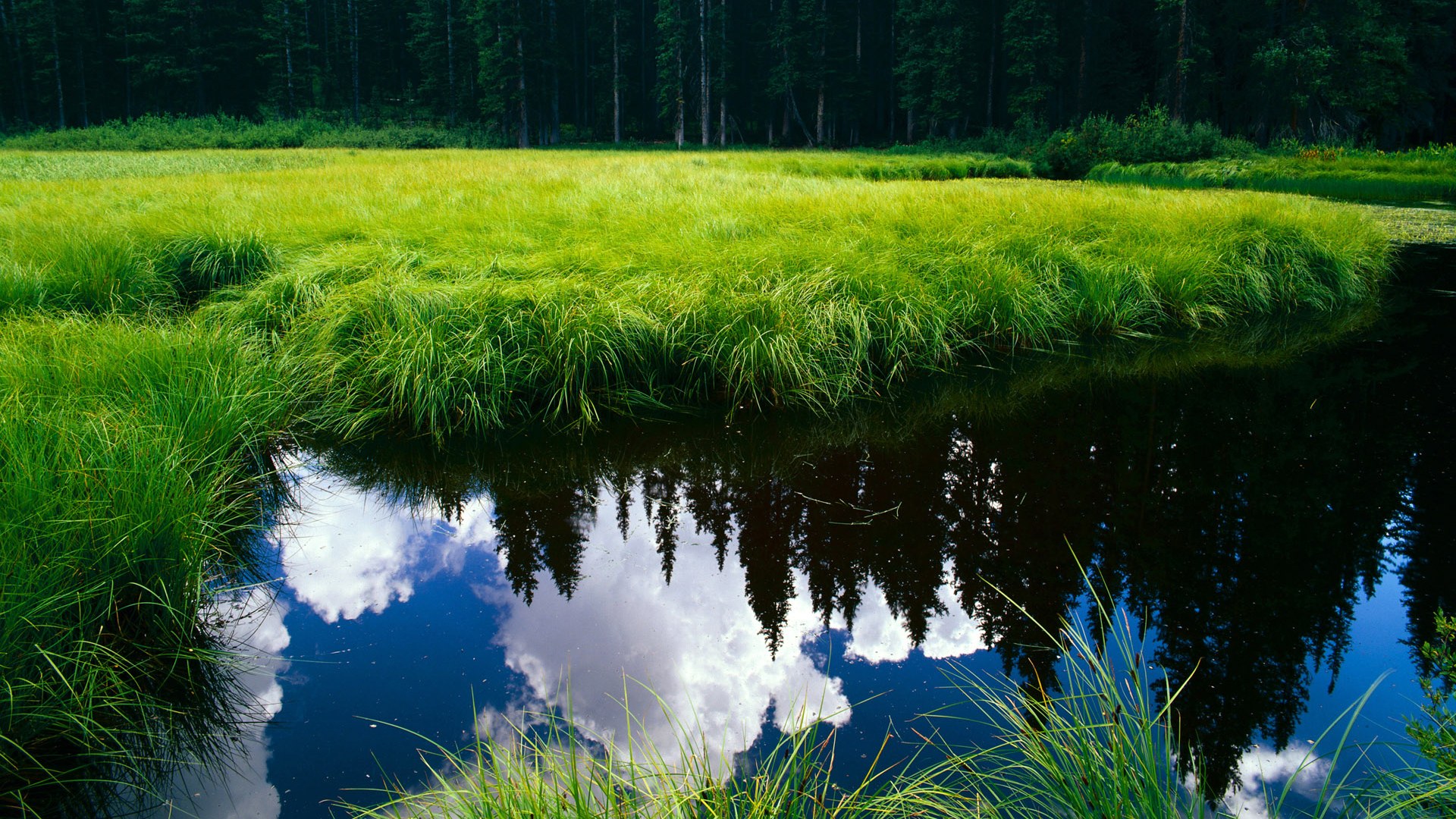 英超裁判语义分析提升判罚一致性的案例研究，英超裁判出牌