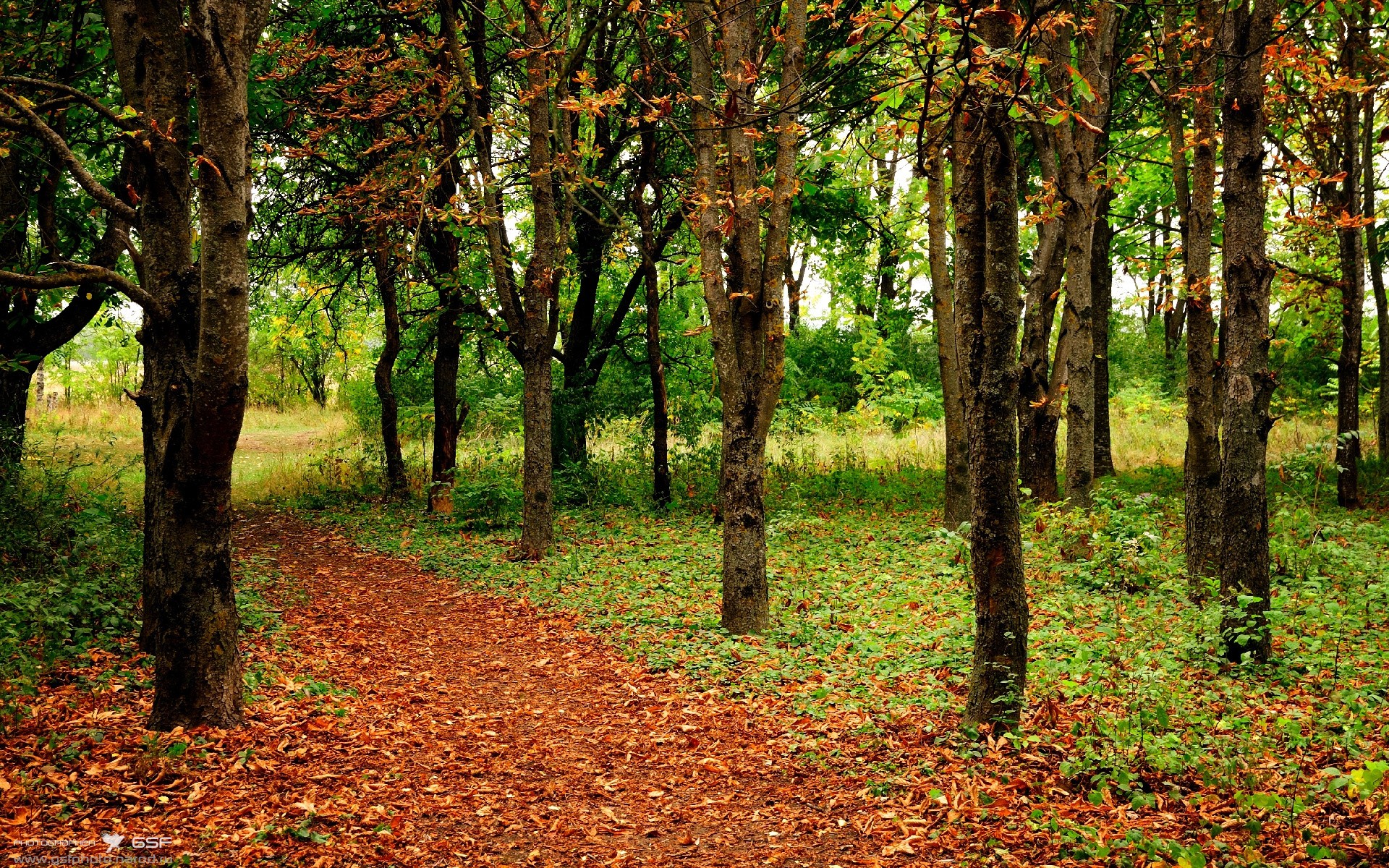 九游jiuyou-中国男篮苦战加时终取胜 球迷鼓掌致敬，中国男篮出战