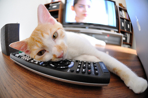 切尔西3-0完胜巴黎圣日耳曼夺冠,切尔西vs巴黎欧冠