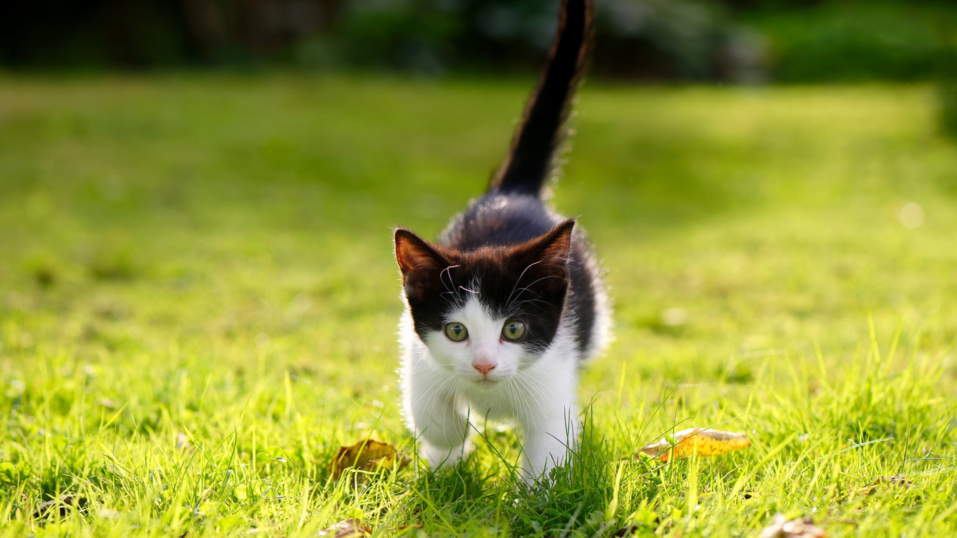 国家滑板队训练营加强细节打磨备战奥运，国家滑板集训队