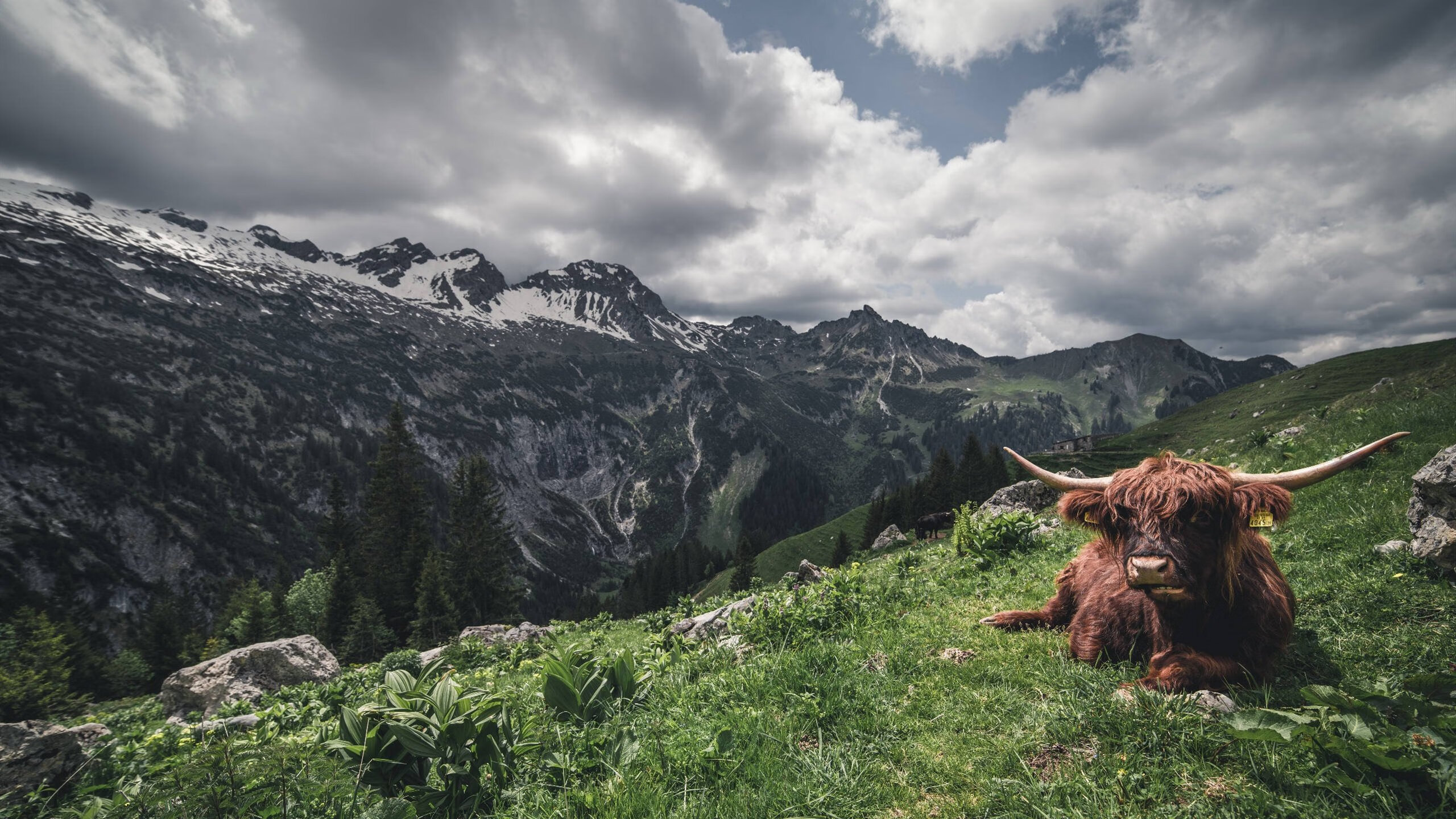 掩护掩体后出手节奏是否与空间有关,掩护的时候,下面那个说法是错误的(1分)