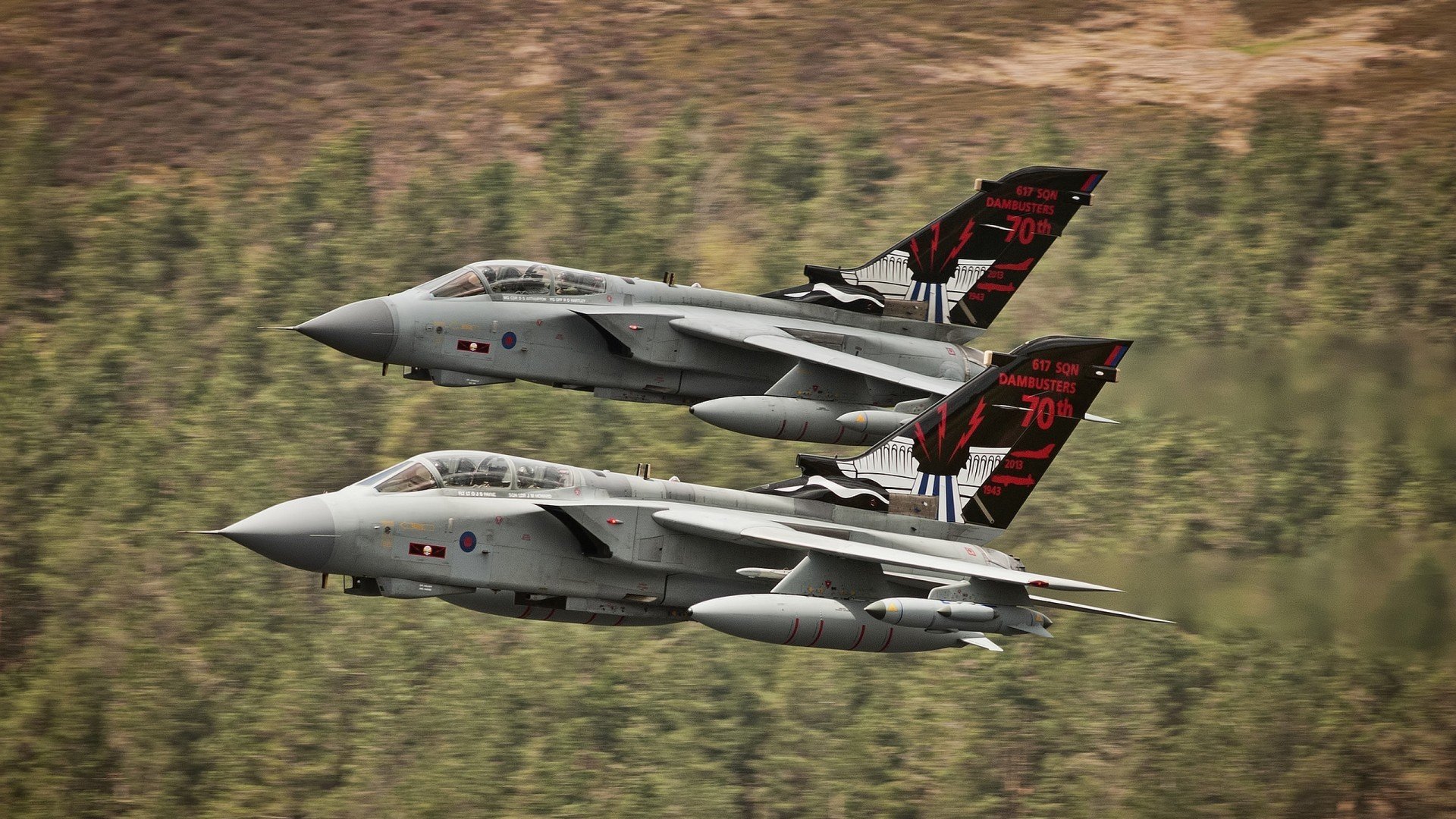 高校运动营养知识普及活动开展广泛，运用运动营养学的知识谈谈大学生如何营养膳食