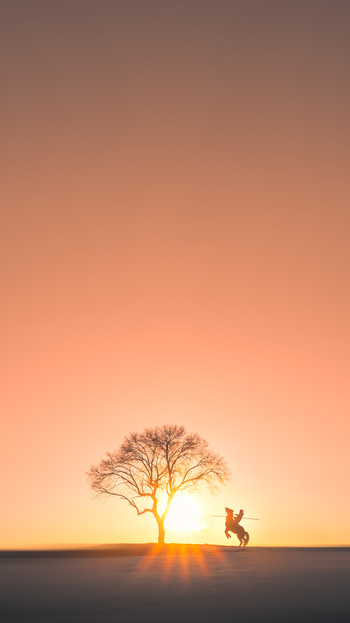 中国足球国家队逐步建立多层次替补人才库，中国足球人才选拔