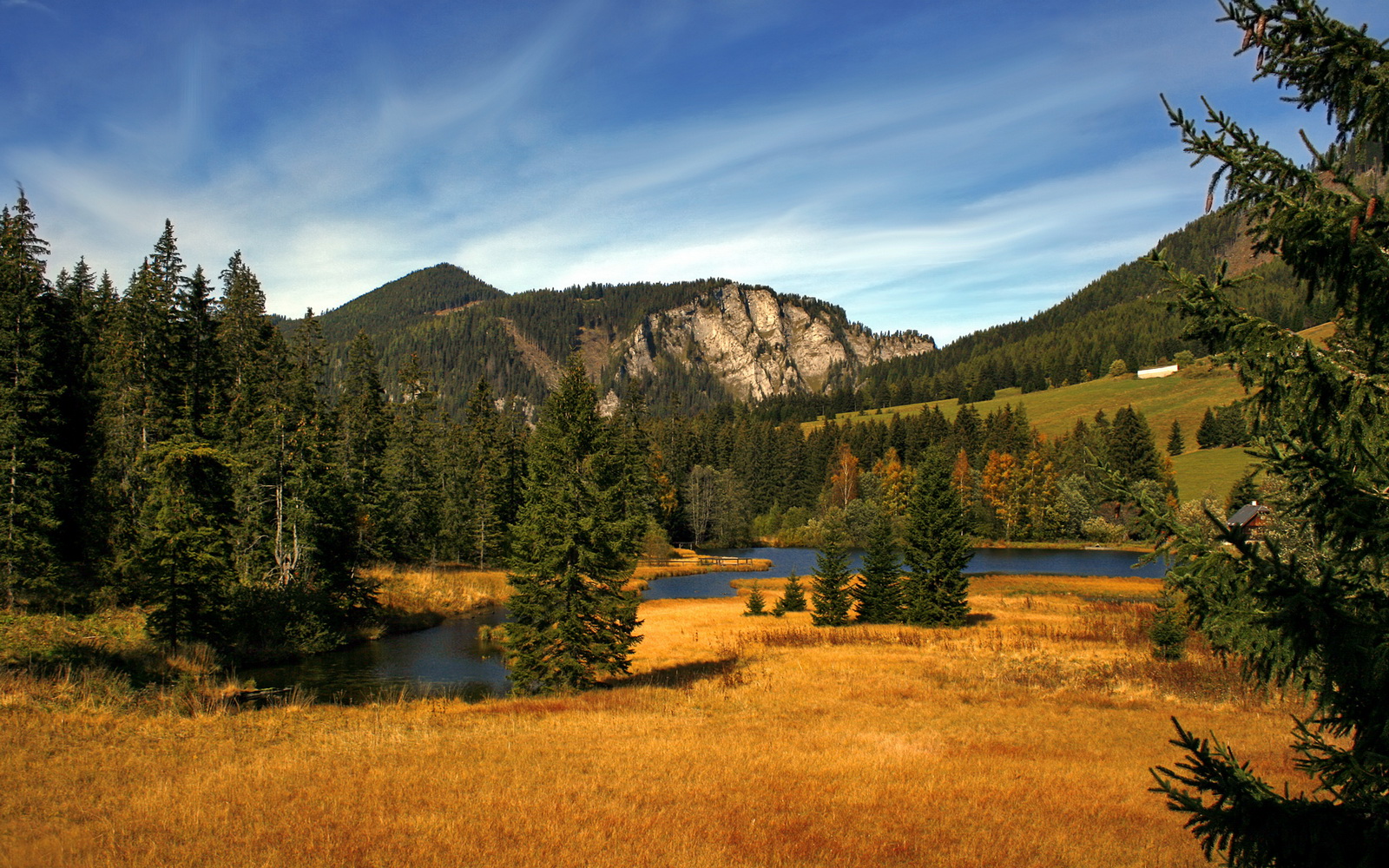 九游娱乐官网 (jiuyou)-乌拉圭男篮在南美锦标赛中持续发光，提升国际影响力，乌拉圭男篮国家队阵容