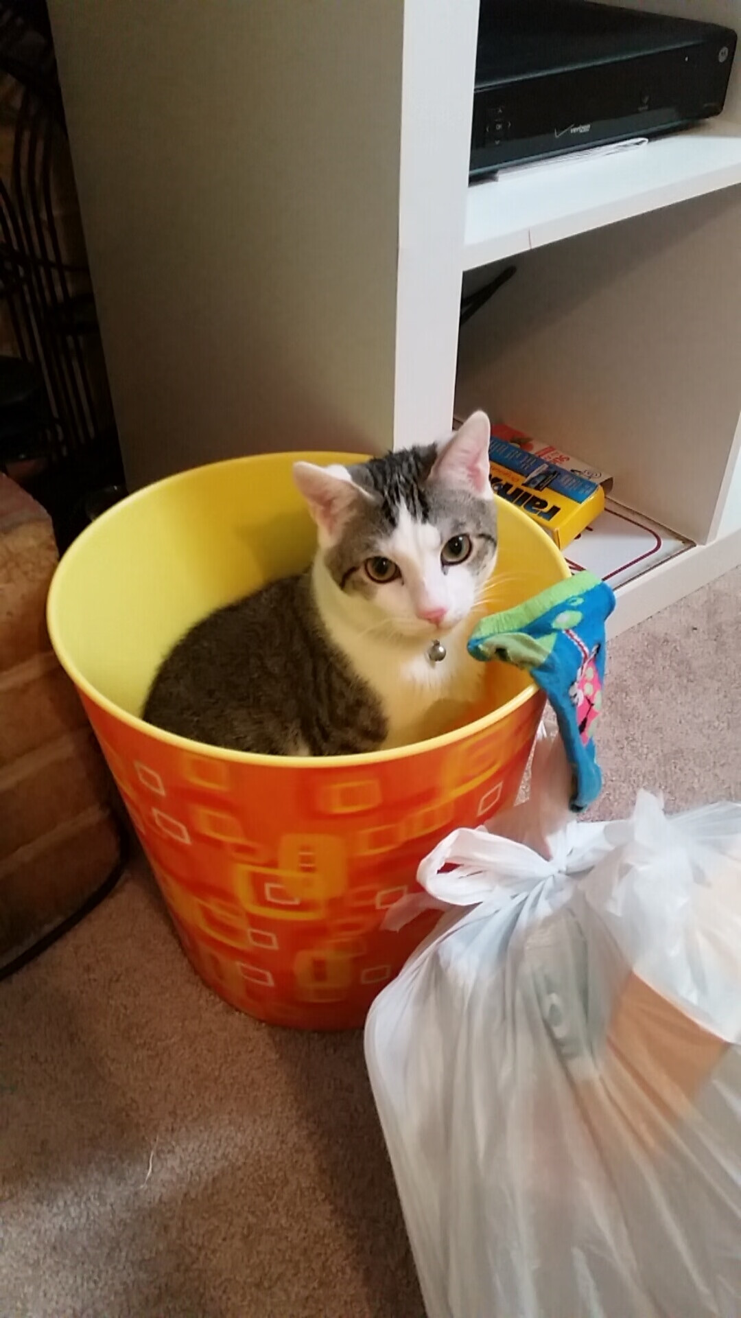 九游网游官网-国家青年队集训强度再升级训练计划覆盖体能与对抗全方位，国家青年足球队名单