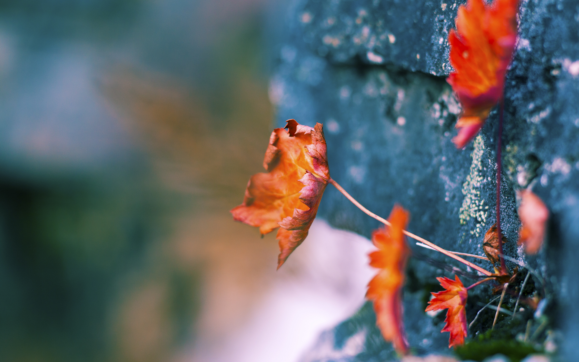 -巴尔：全黑队中场的“破坏者”，精准抢断并快速反击