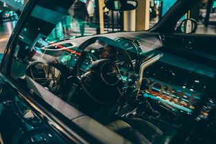 9游app-世界高速滑轮挑战赛中国少年展现实力，世界滑轮比赛视频